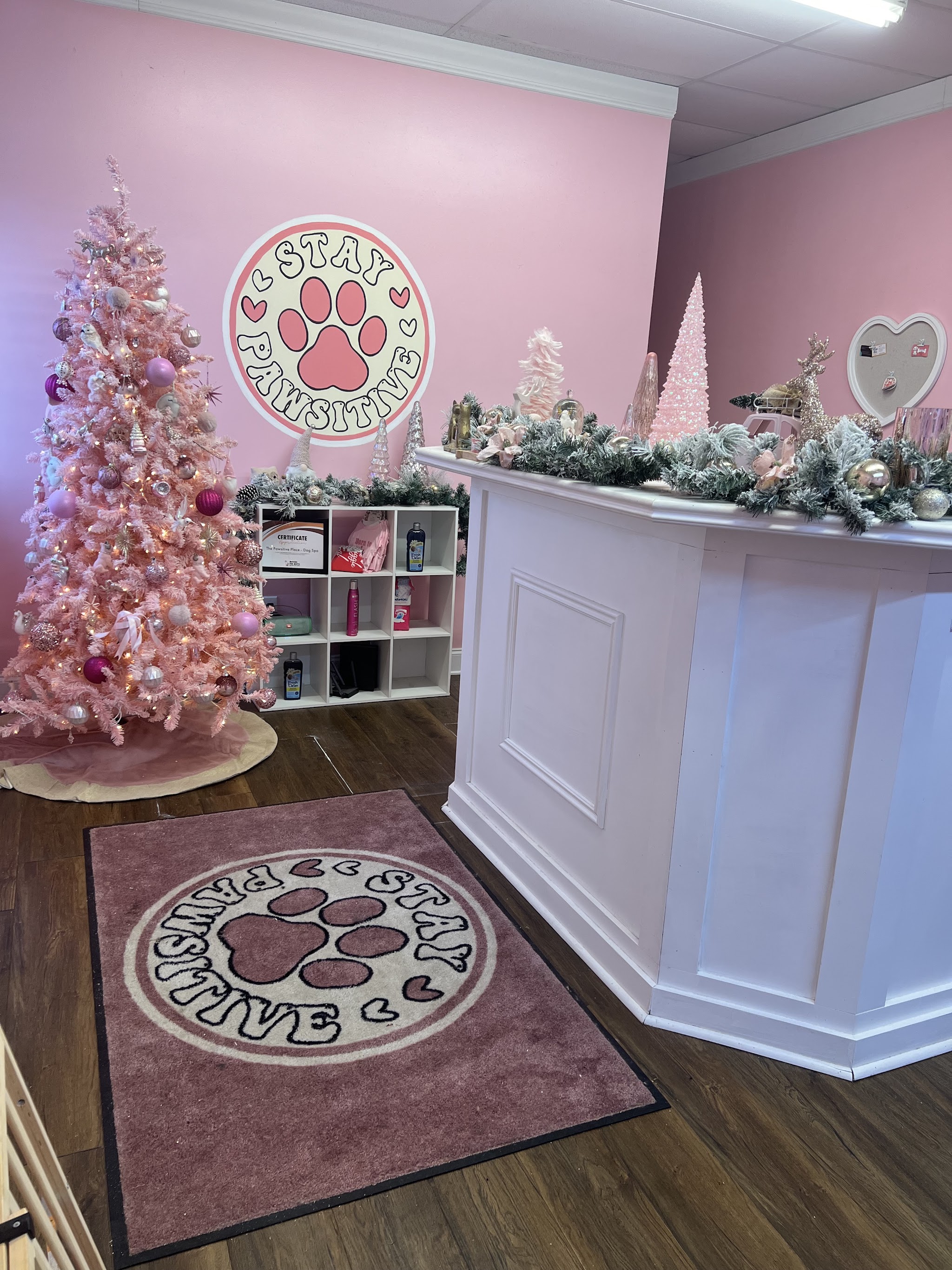 Our front desk, with the paw-print rug and Stay Pawsitive sign